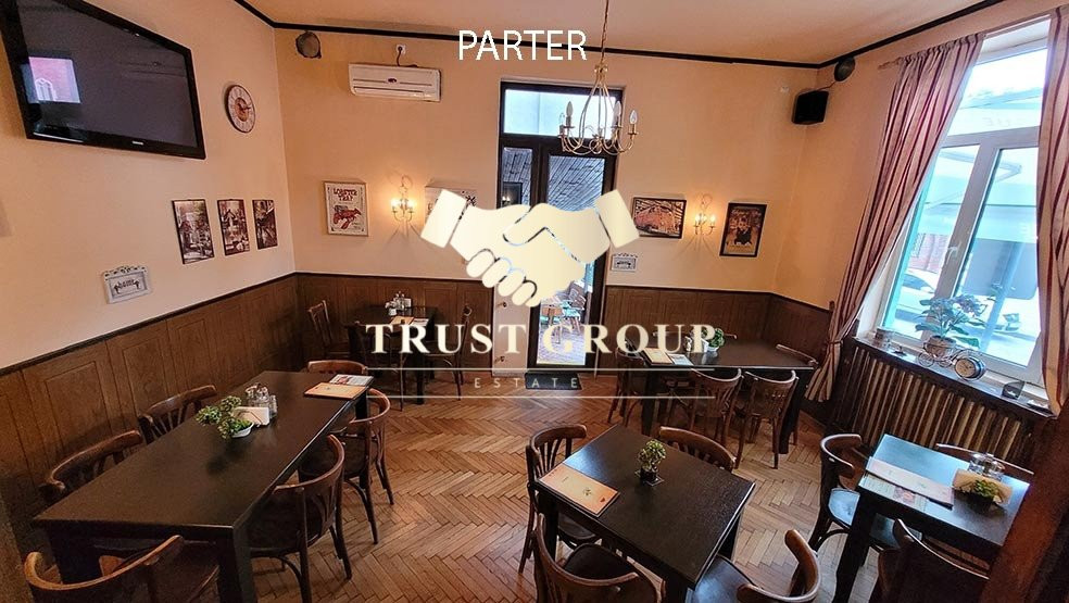 Vila P+2 Consolidata Gradina icoanei