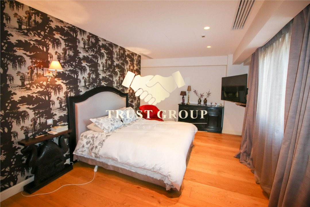  Gradina Icoanei  - Penthouse tip duplex -