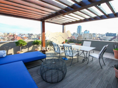  Gradina Icoanei  - Penthouse tip duplex -