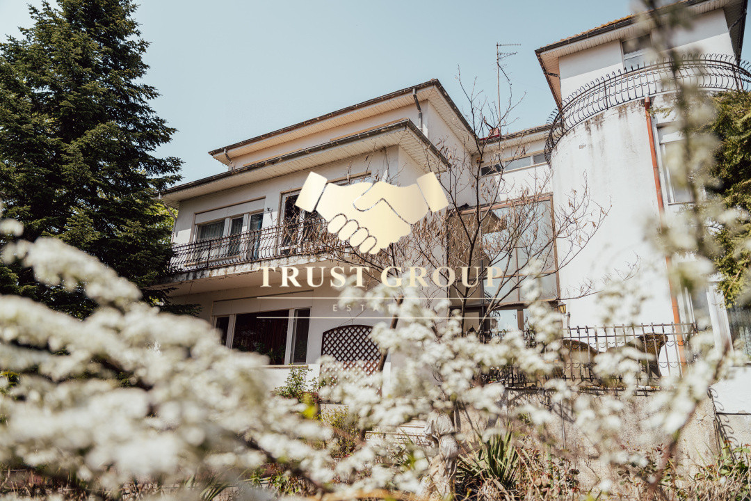 Casă individuală cu arhitectură deosebită și potențial investițional