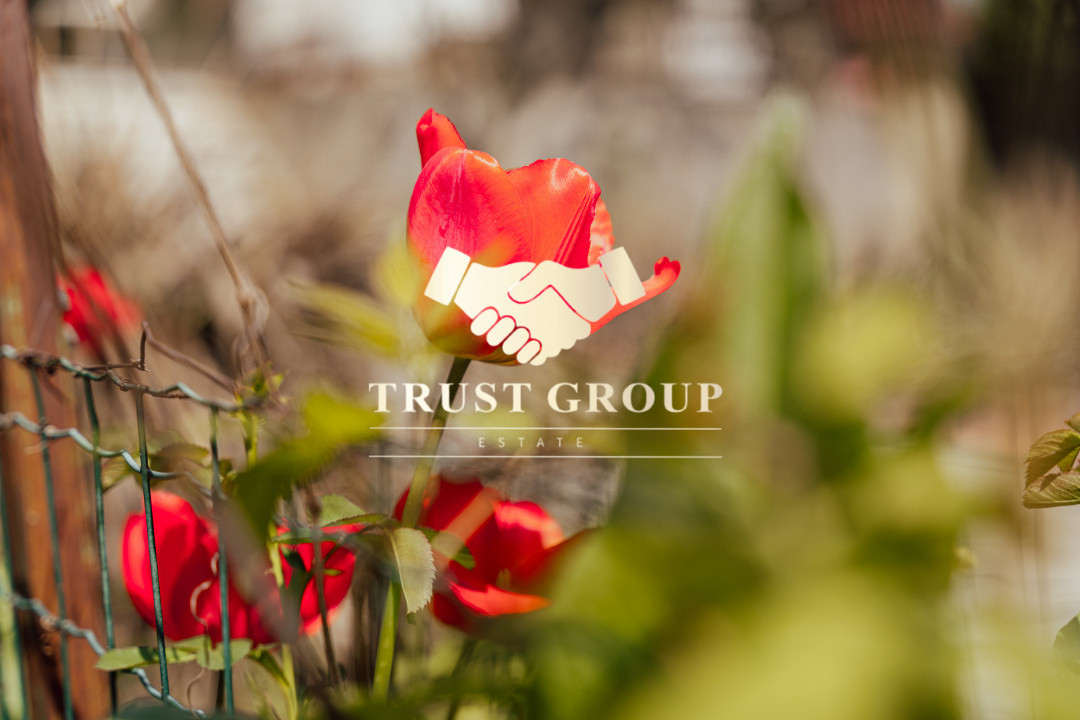 Casă individuală cu arhitectură deosebită și potențial investițional