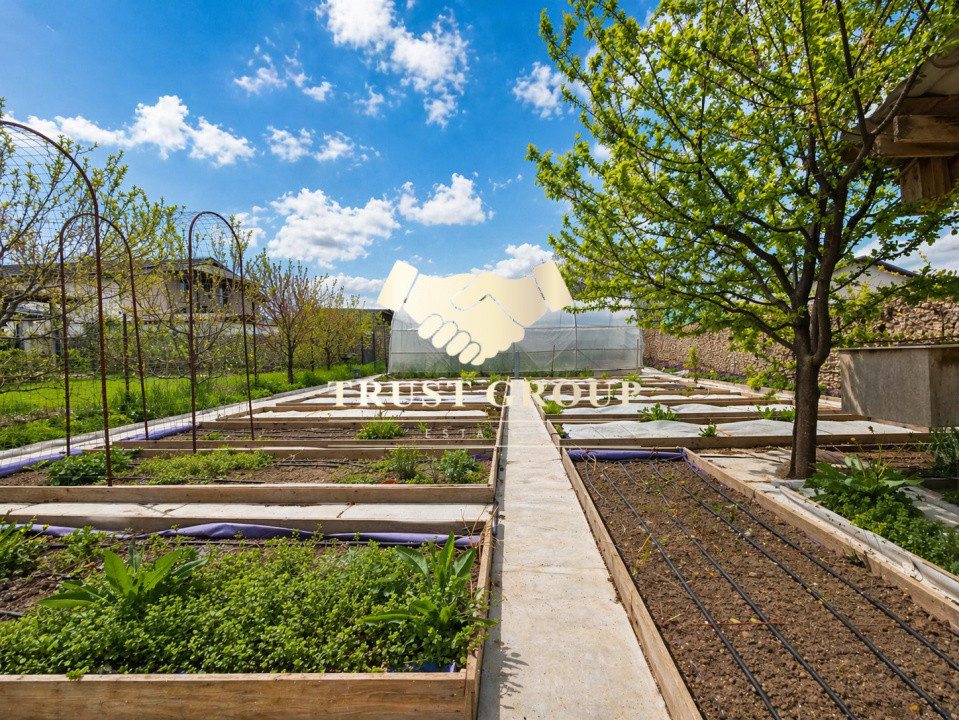 Casă individuală – Moara Vlăsiei | 3 camere | 1000 mp teren