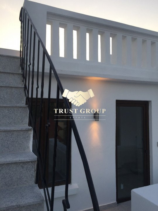  8 camere Kiseleff 100mp curte libera Vila D+P+2E+M