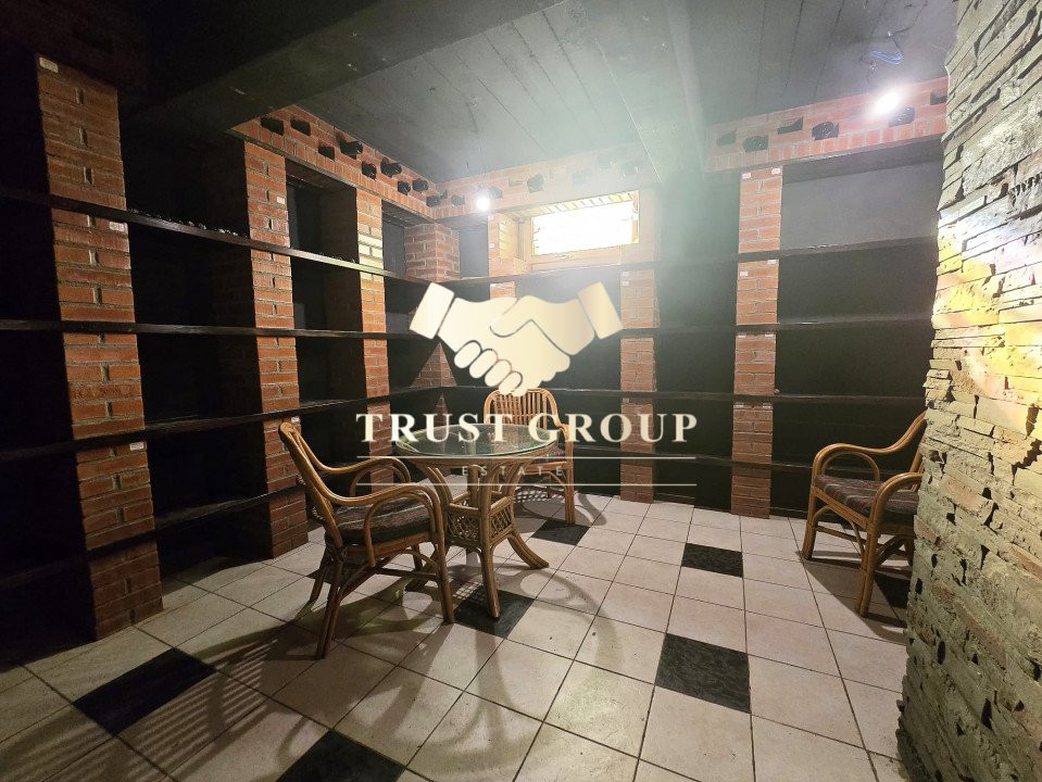  -Cu Garaj și Casă de Oaspeți- Vila Boierească Consolidată pe Teren Generos